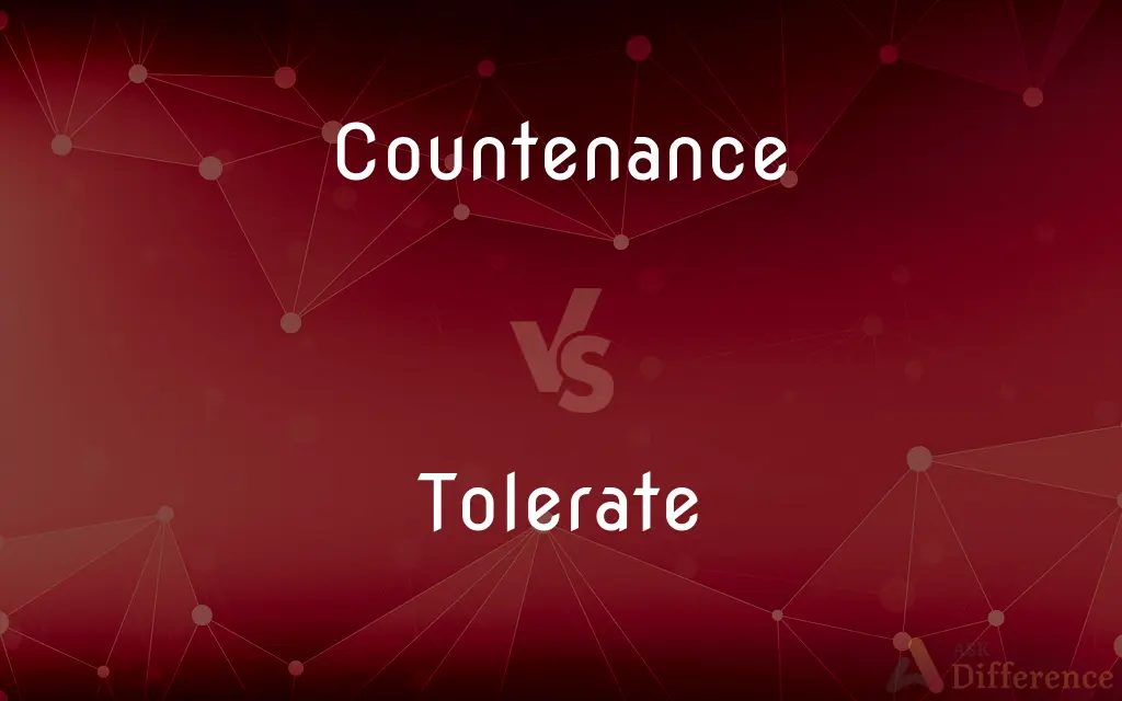 Countenance vs. Tolerate — What's the Difference?