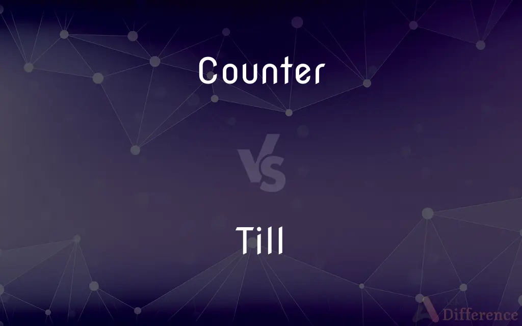 Counter vs. Till — What's the Difference?