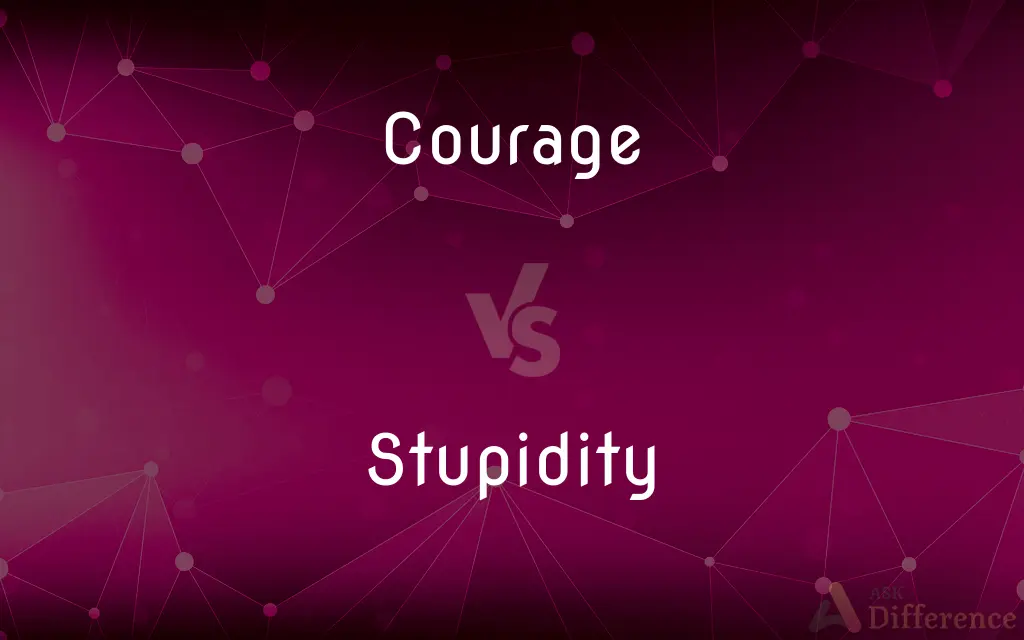 Courage vs. Stupidity — What's the Difference?