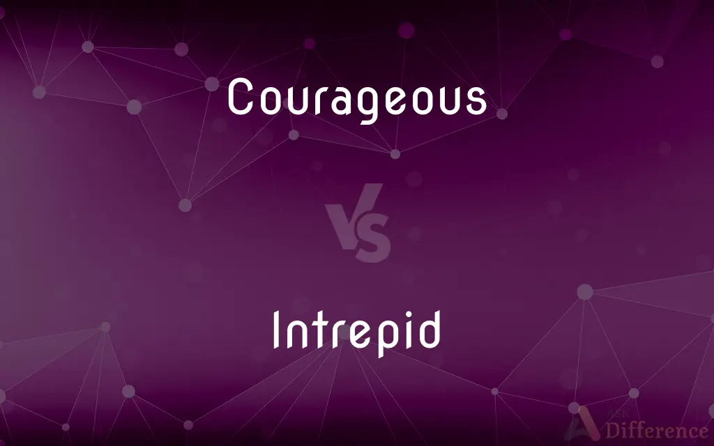 Courageous vs. Intrepid — What's the Difference?