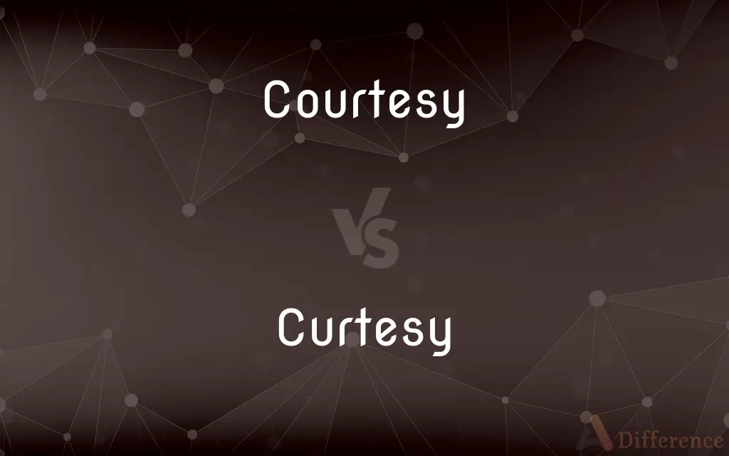 Courtesy vs. Curtesy — What's the Difference?