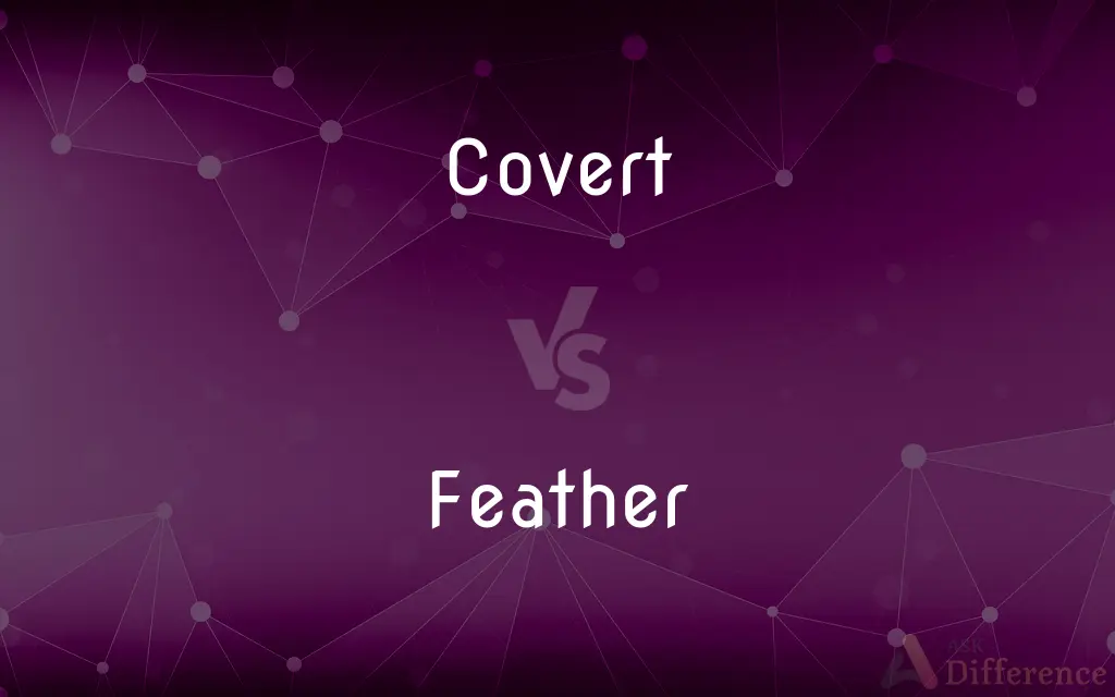 Covert vs. Feather — What's the Difference?