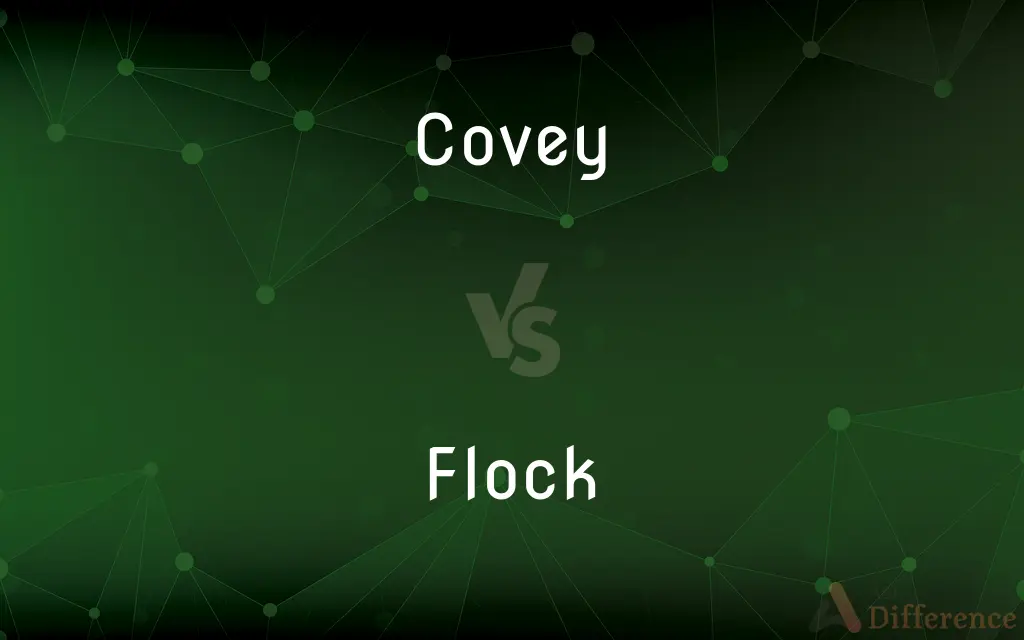 Covey vs. Flock — What's the Difference?