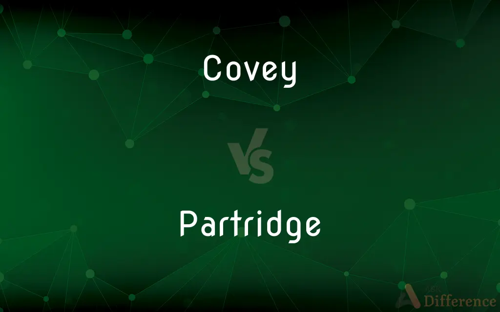 Covey vs. Partridge — What's the Difference?