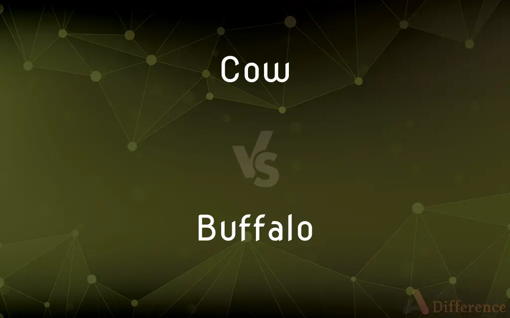 Cow vs. Buffalo — What's the Difference?