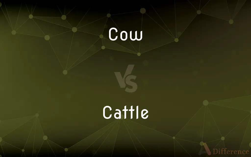 Cow vs. Cattle — What's the Difference?
