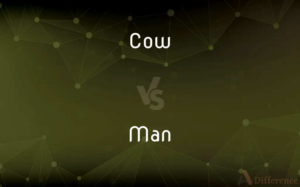 Cow vs. Man — What's the Difference?