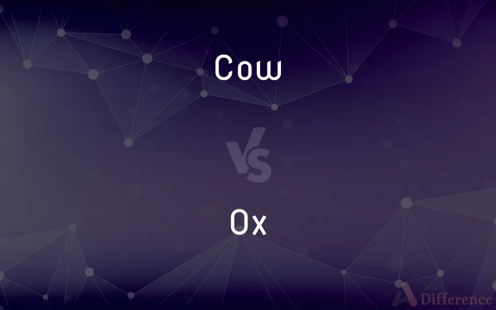 Cow vs. Ox — What's the Difference?