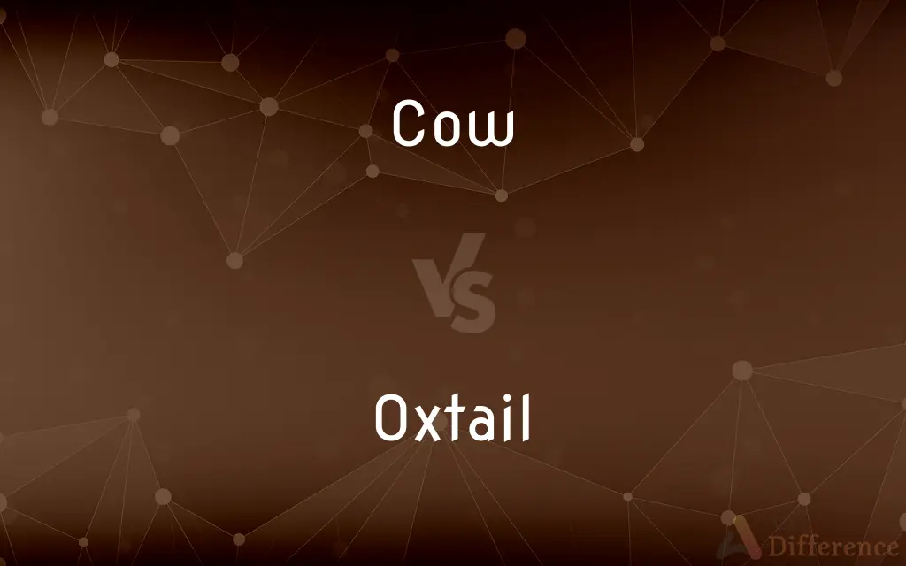 Cow vs. Oxtail — What's the Difference?