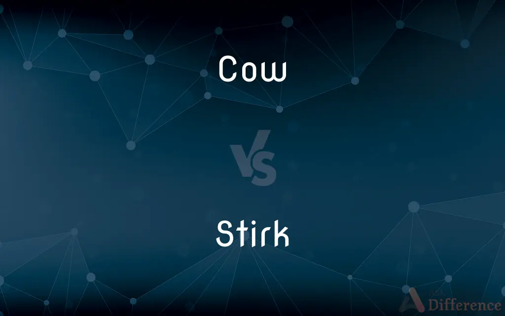 Cow vs. Stirk — What's the Difference?