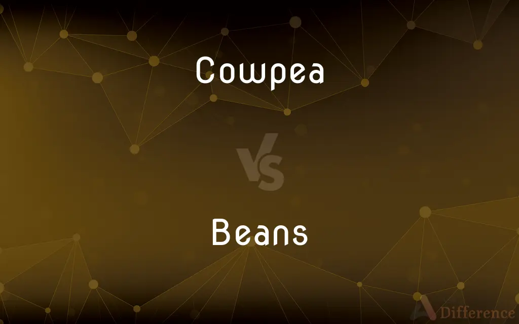 Cowpea vs. Beans — What's the Difference?