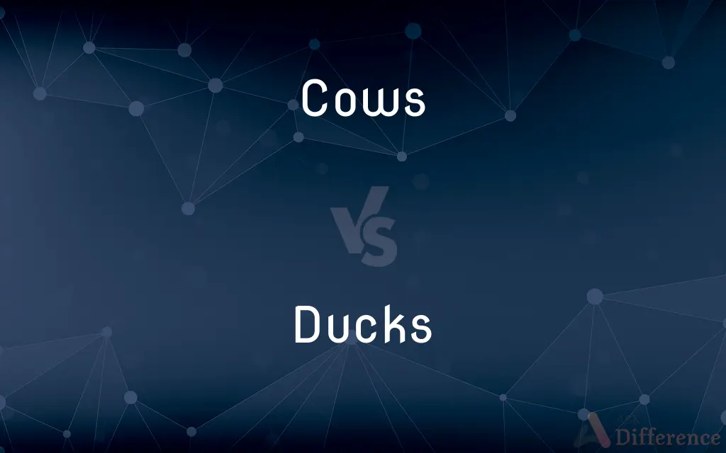 Cows vs. Ducks — What's the Difference?