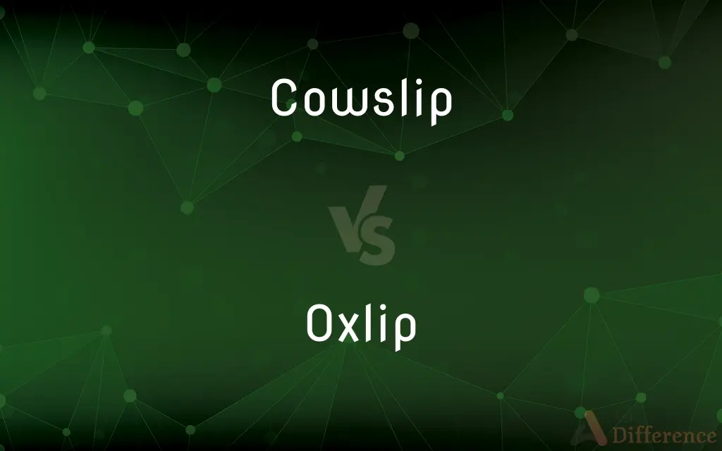 Cowslip vs. Oxlip — What's the Difference?