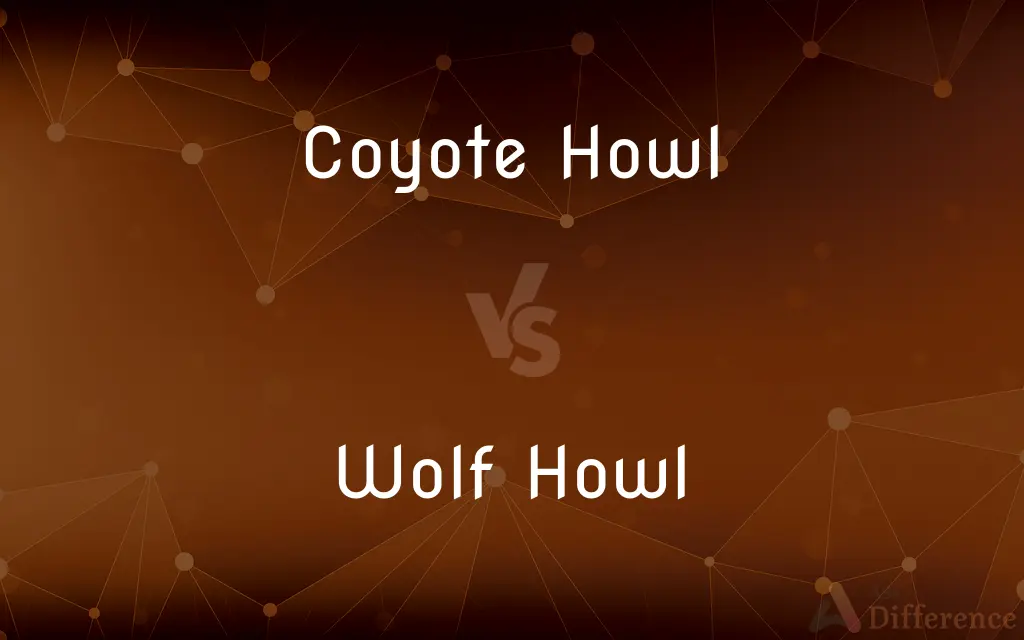 Coyote Howl vs. Wolf Howl — What's the Difference?