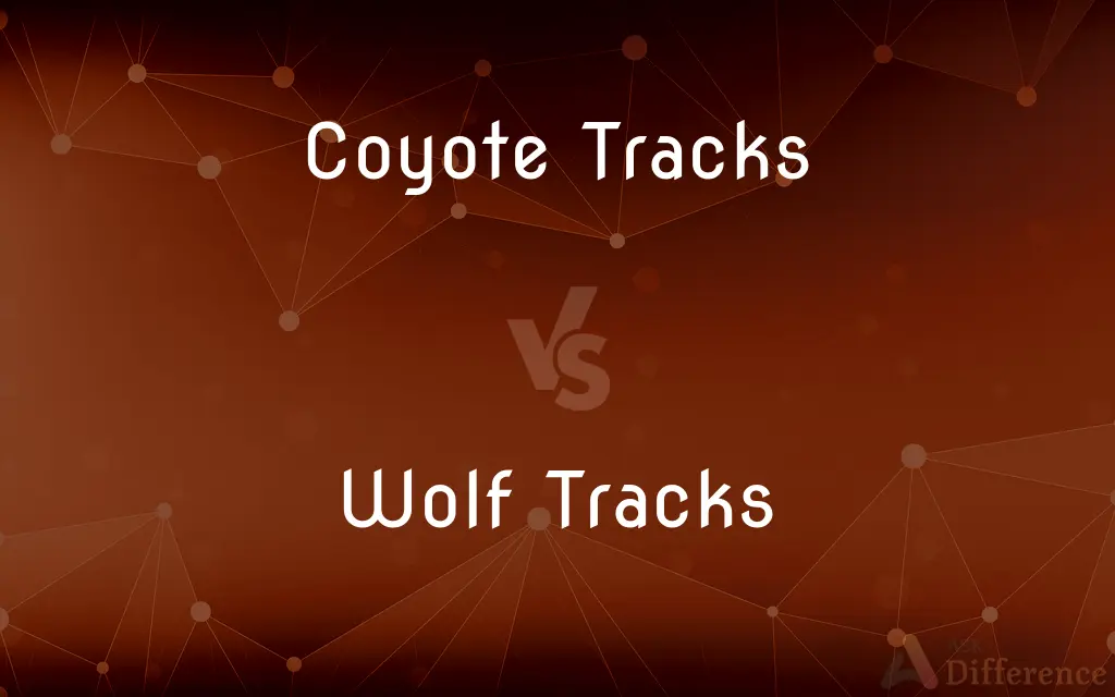 Coyote Tracks vs. Wolf Tracks — What's the Difference?