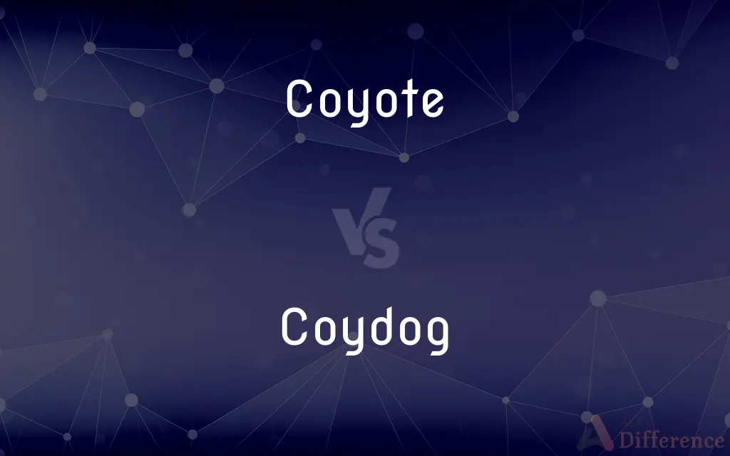 Coyote vs. Coydog — What's the Difference?
