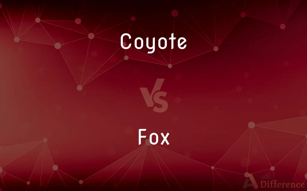 Coyote vs. Fox — What's the Difference?