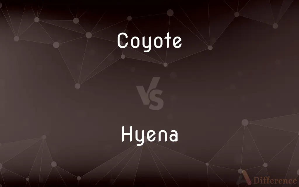 Coyote vs. Hyena — What's the Difference?