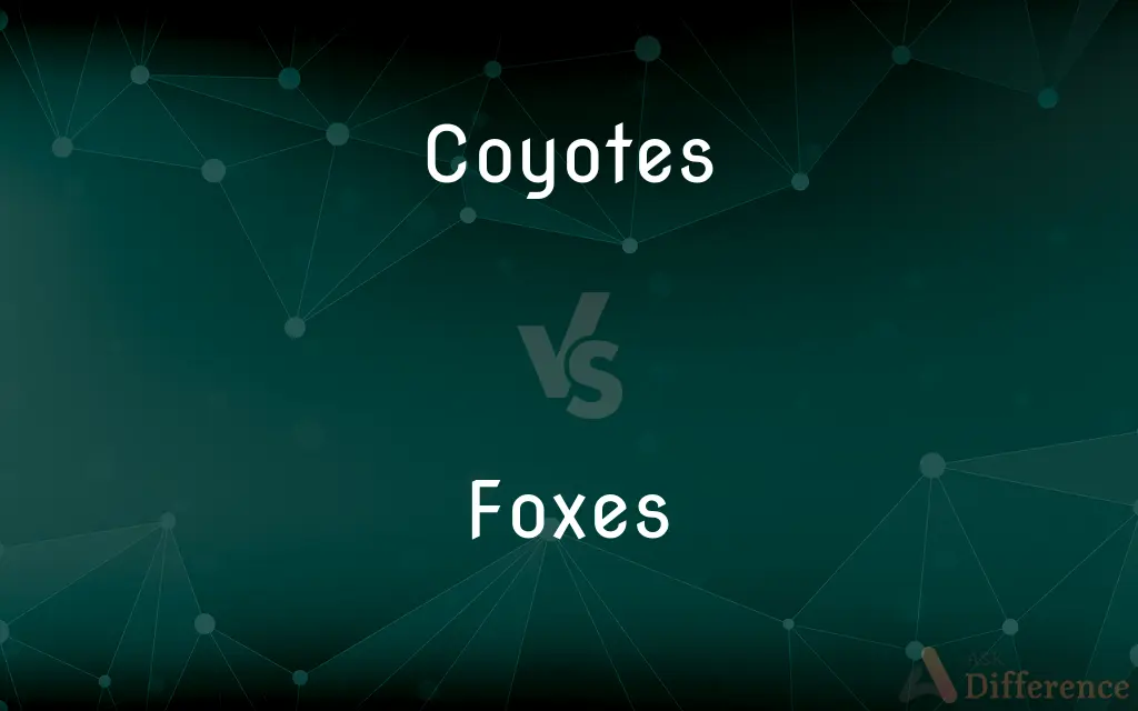 Coyotes vs. Foxes — What's the Difference?