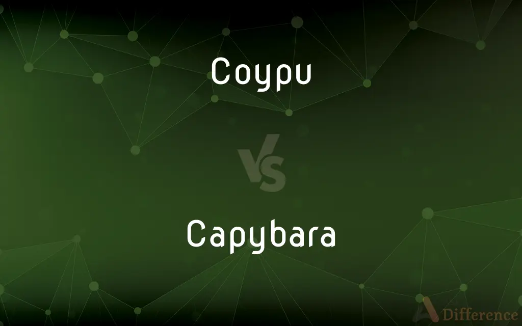 Coypu vs. Capybara — What's the Difference?