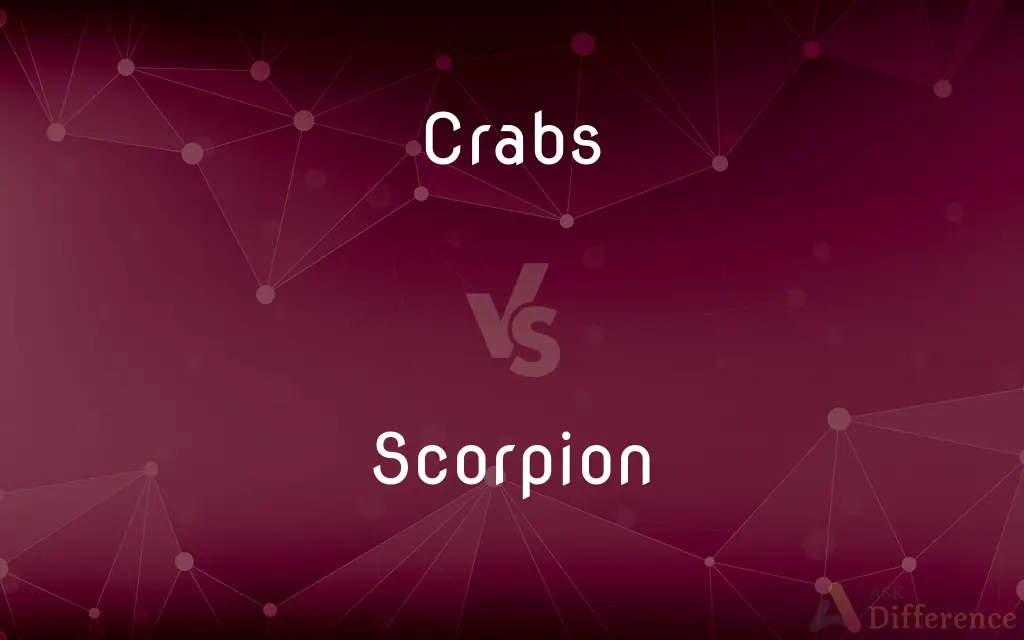 Crabs vs. Scorpion — What's the Difference?