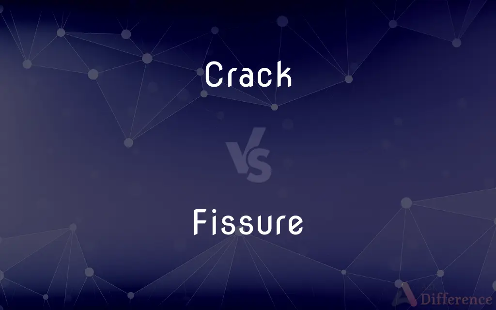 Crack vs. Fissure — What's the Difference?