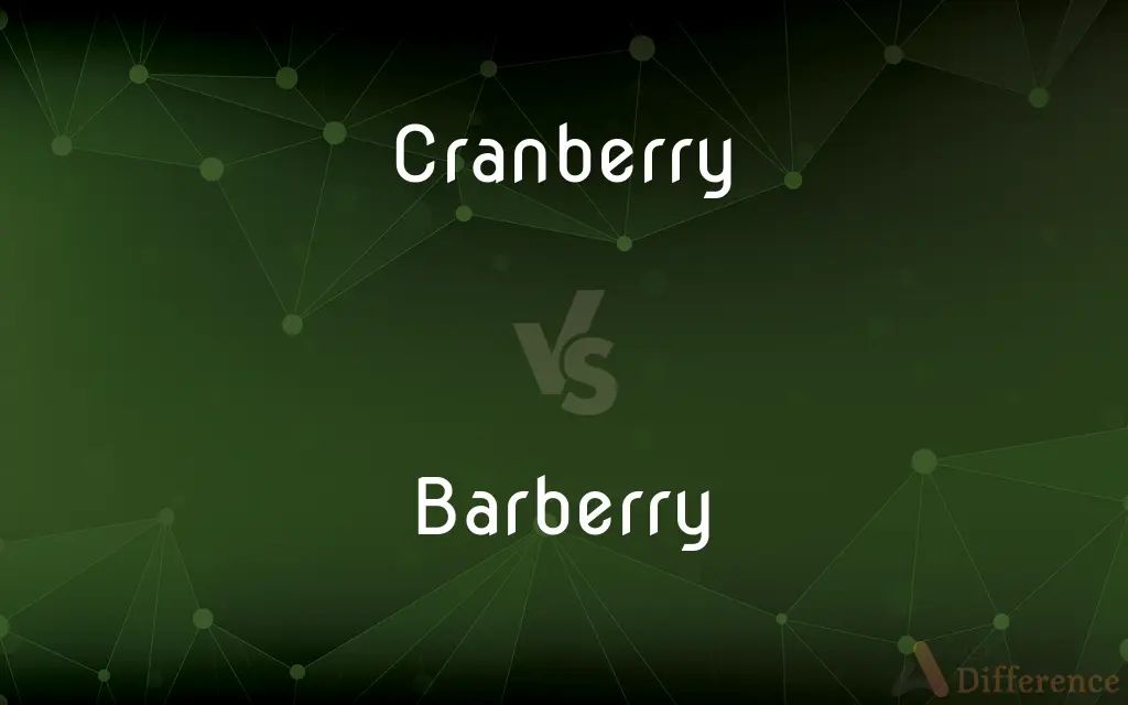 Cranberry vs. Barberry — What's the Difference?