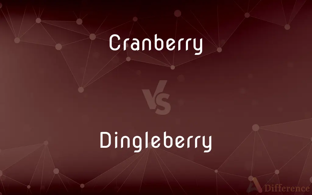 Cranberry vs. Dingleberry — What's the Difference?