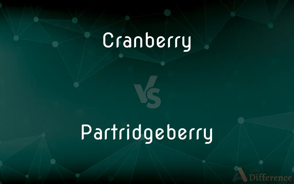 Cranberry vs. Partridgeberry — What's the Difference?