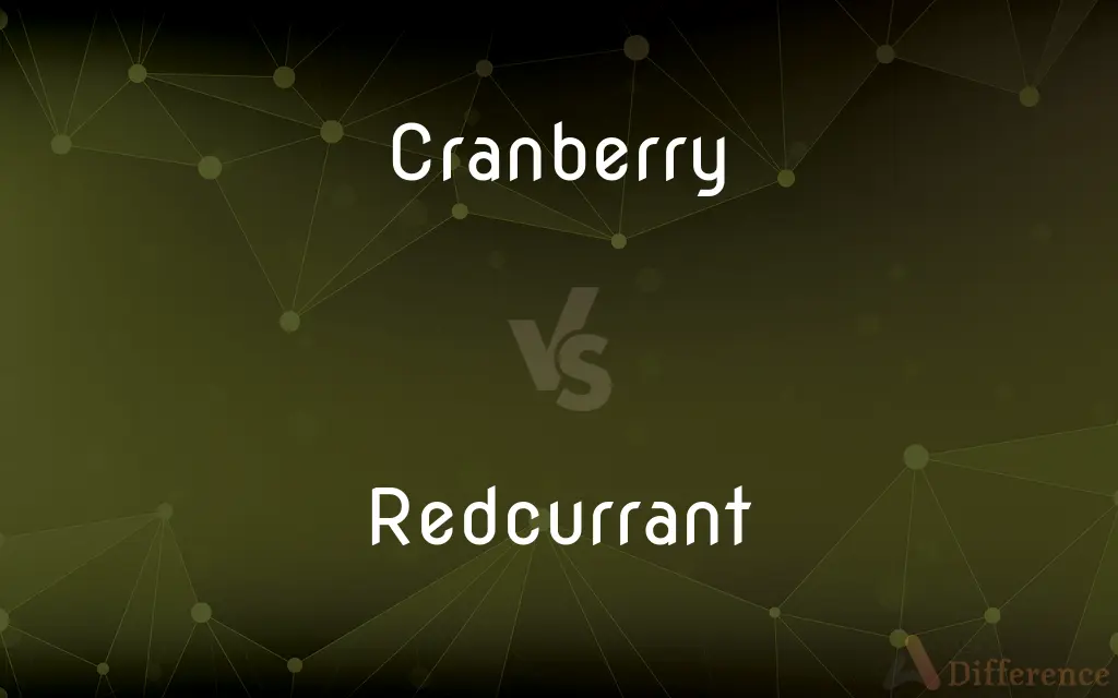 Cranberry vs. Redcurrant — What's the Difference?