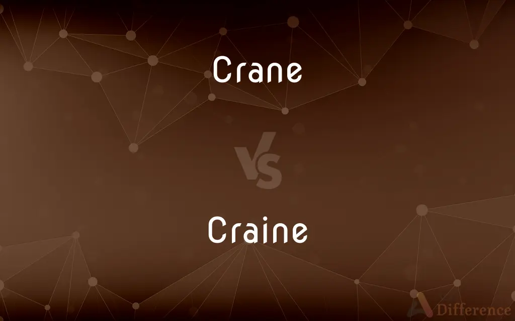 Crane vs. Craine — Which is Correct Spelling?
