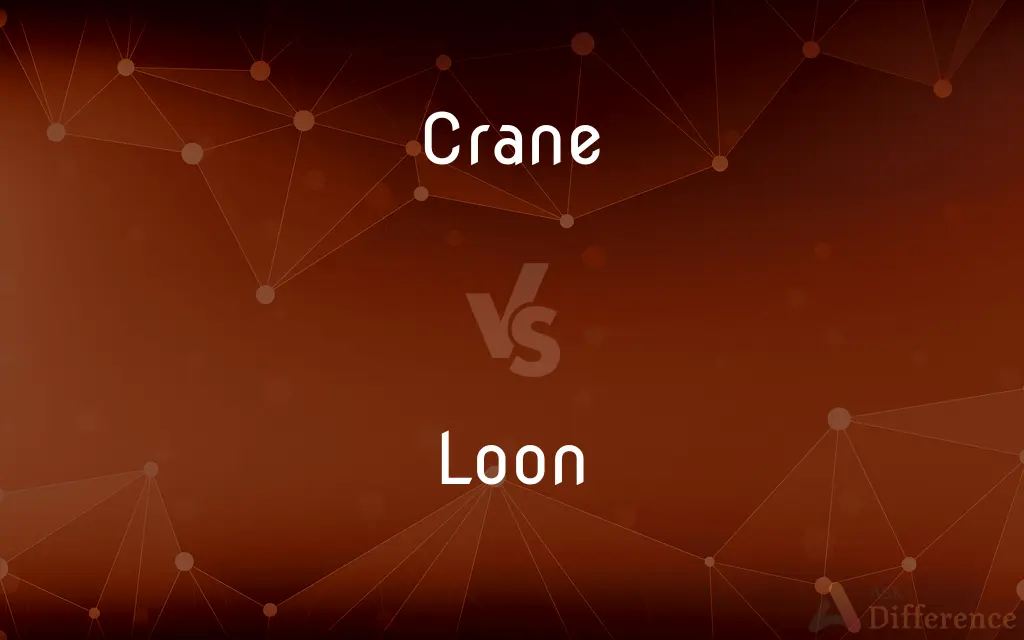 Crane vs. Loon — What's the Difference?