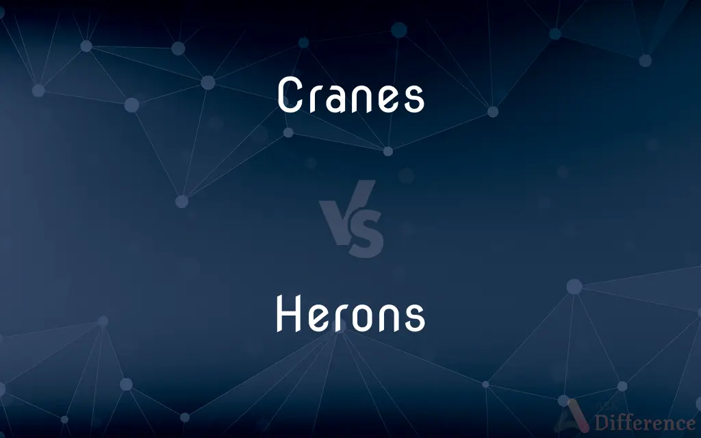 Cranes vs. Herons — What's the Difference?