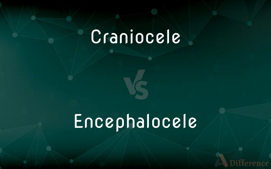 Craniocele vs. Encephalocele — What's the Difference?