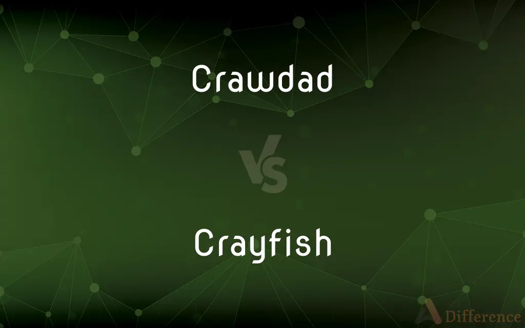 Crawdad vs. Crayfish — What's the Difference?