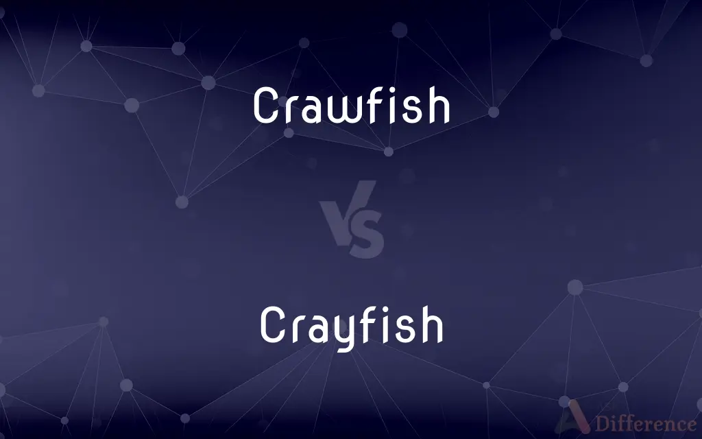 Crawfish vs. Crayfish — What's the Difference?