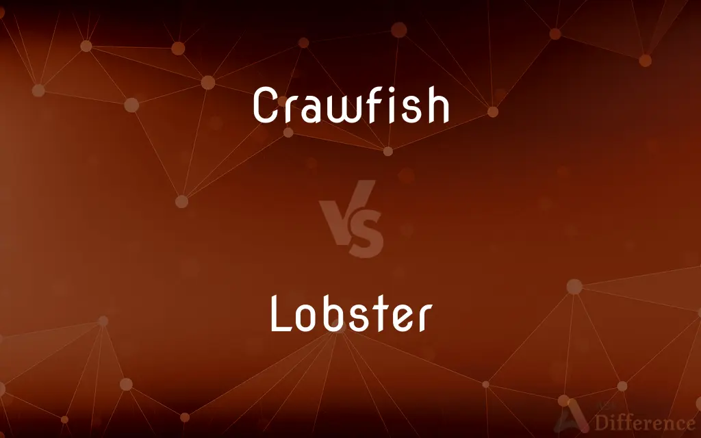 Crawfish vs. Lobster — What's the Difference?