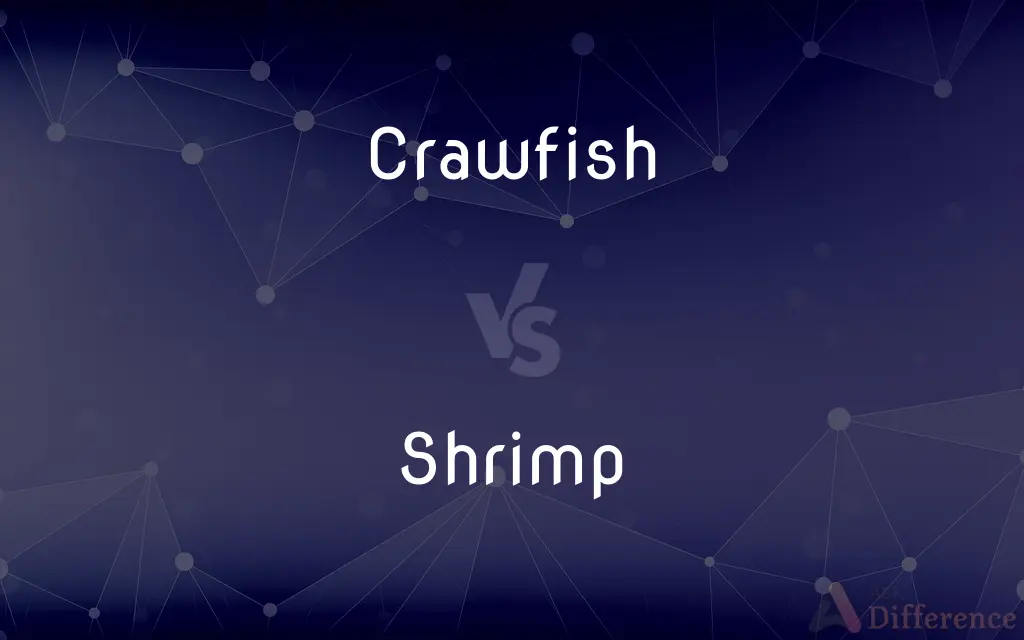 Crawfish vs. Shrimp — What's the Difference?