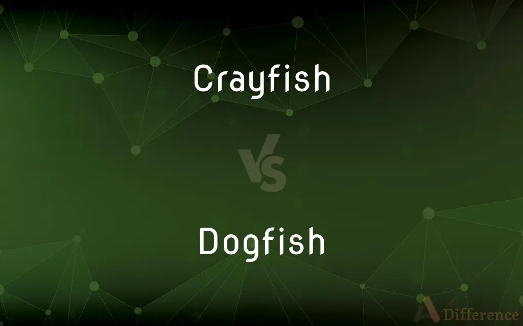 Crayfish vs. Dogfish — What's the Difference?