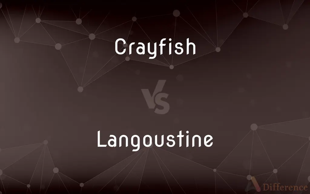 Crayfish vs. Langoustine — What's the Difference?