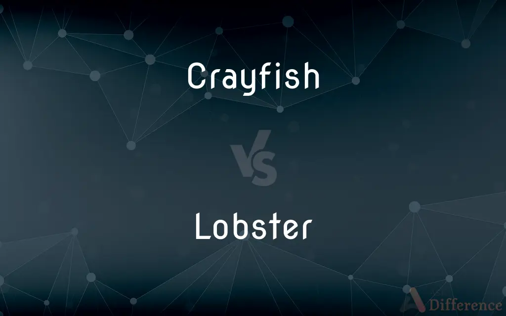 Crayfish vs. Lobster — What's the Difference?