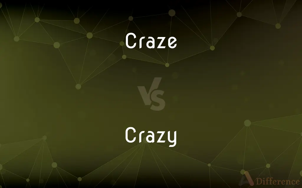 Craze vs. Crazy — What's the Difference?