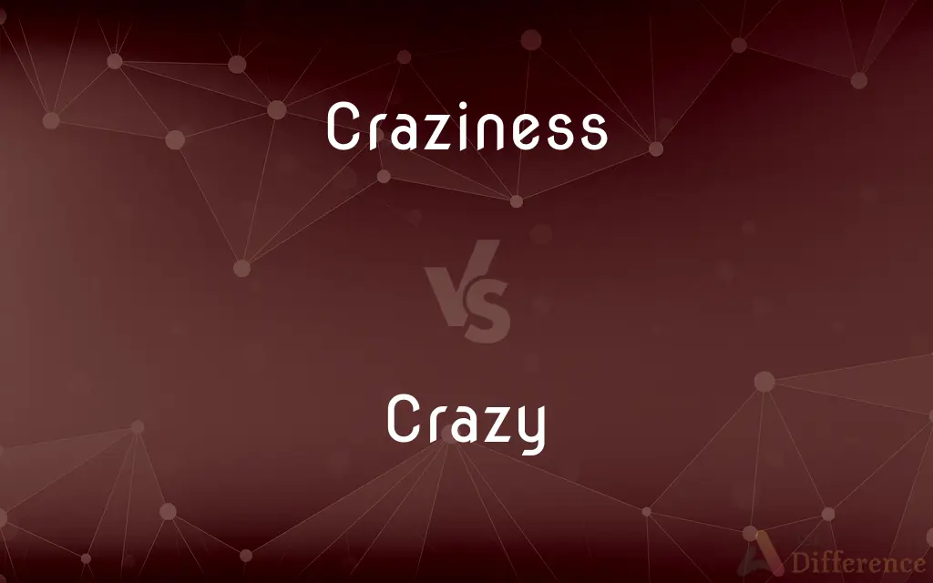 Craziness vs. Crazy — What's the Difference?
