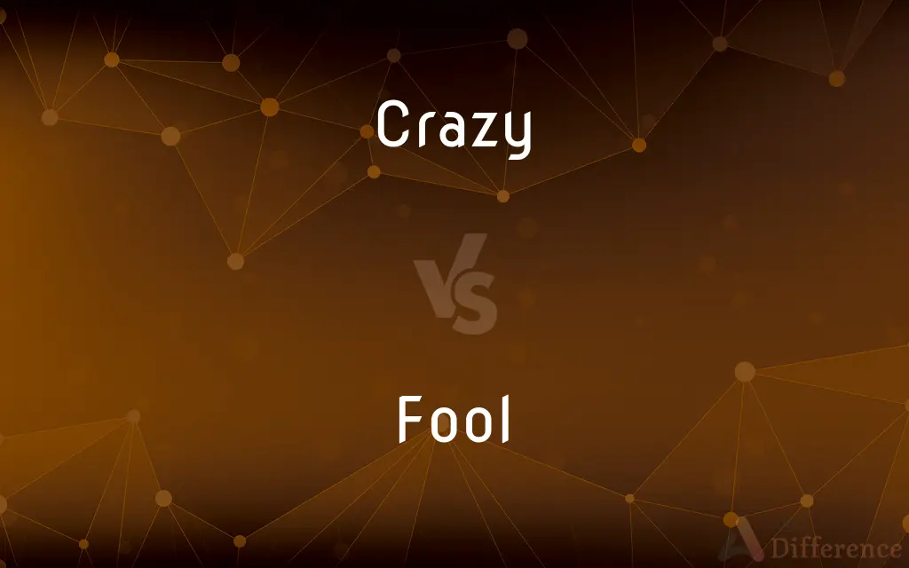 Crazy vs. Fool — What's the Difference?
