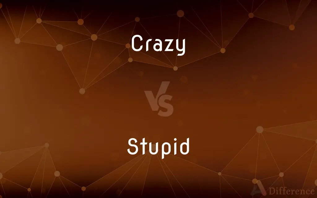 Crazy vs. Stupid — What's the Difference?