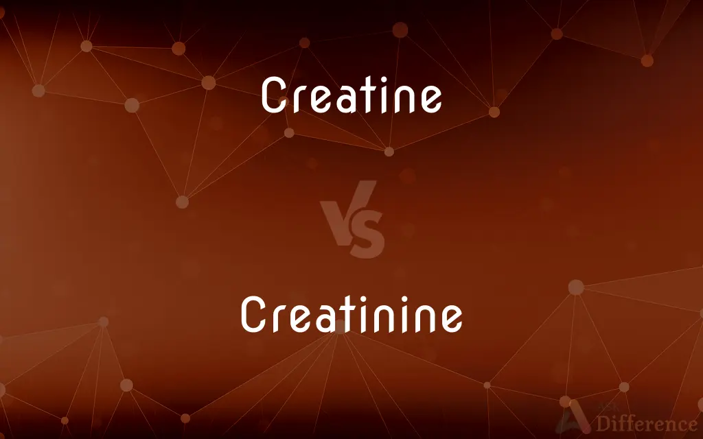 Creatine vs. Creatinine — What's the Difference?