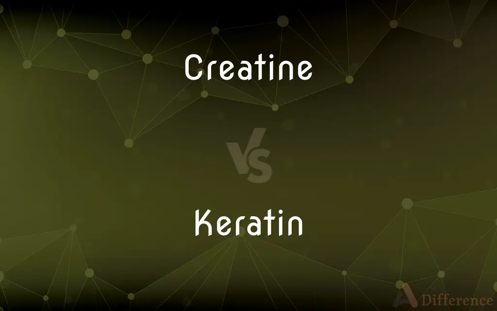 Creatine vs. Keratin — What's the Difference?