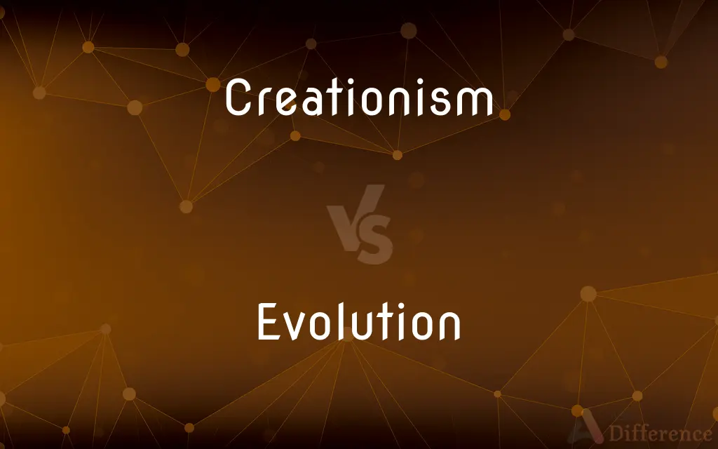 Creationism vs. Evolution — What's the Difference?
