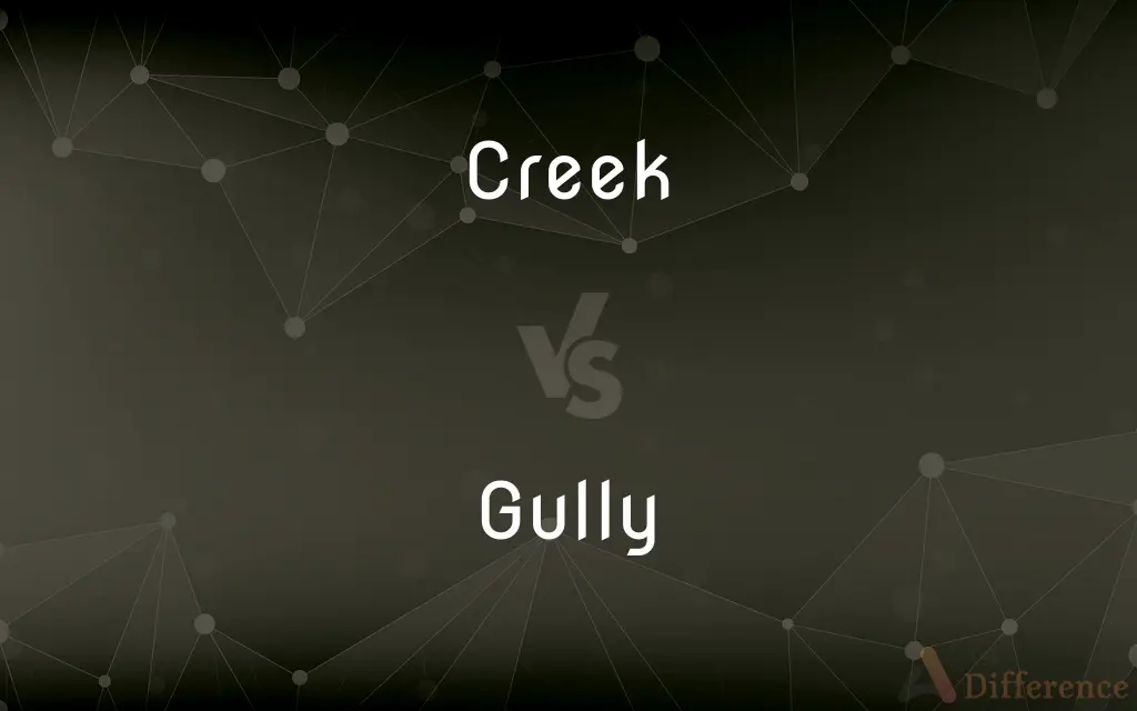 Creek vs. Gully — What's the Difference?