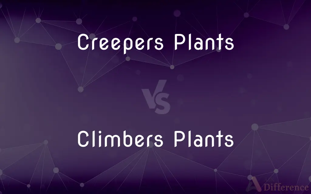 Creepers Plants vs. Climbers Plants — What's the Difference?